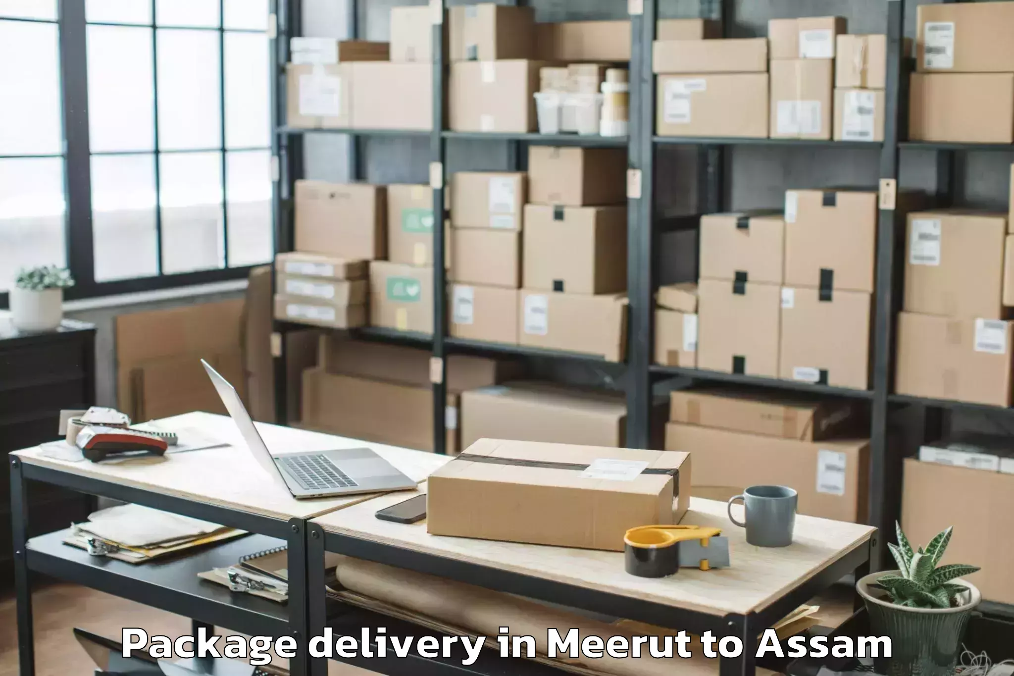 Trusted Meerut to Mariani Package Delivery